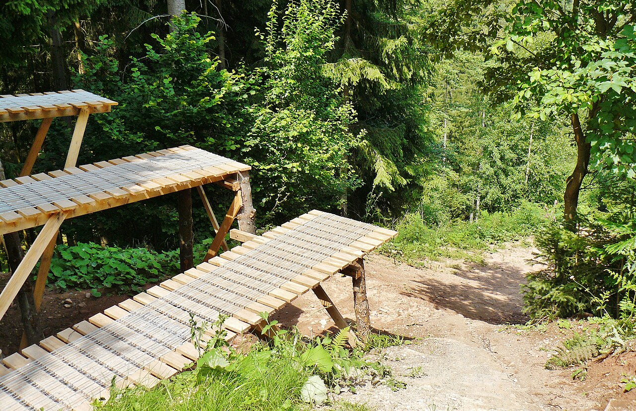 Bikepark Bad Wildbad